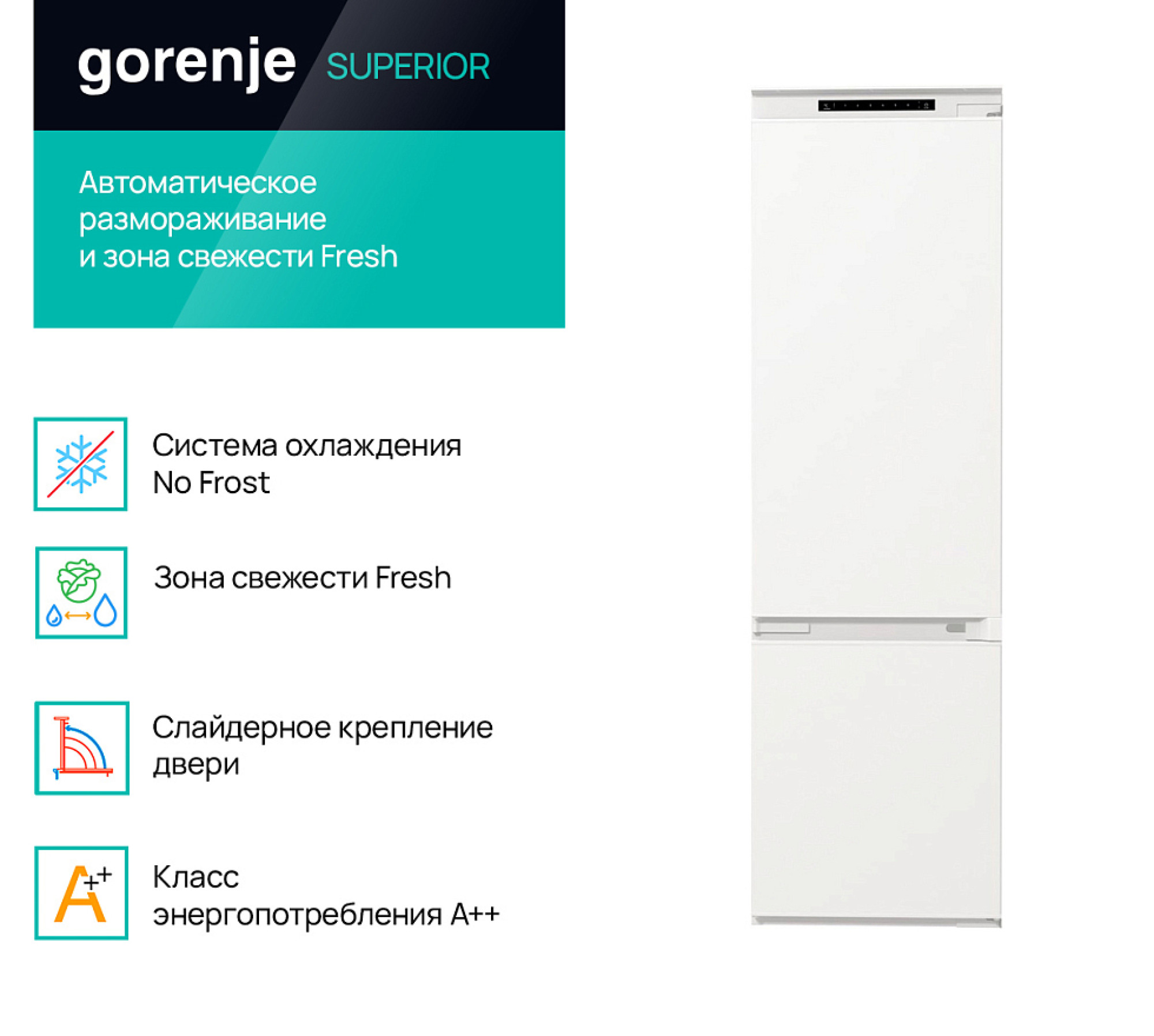 Встраиваемый двухкамерный холодильник Gorenje NRKI419EP1 - фото2
