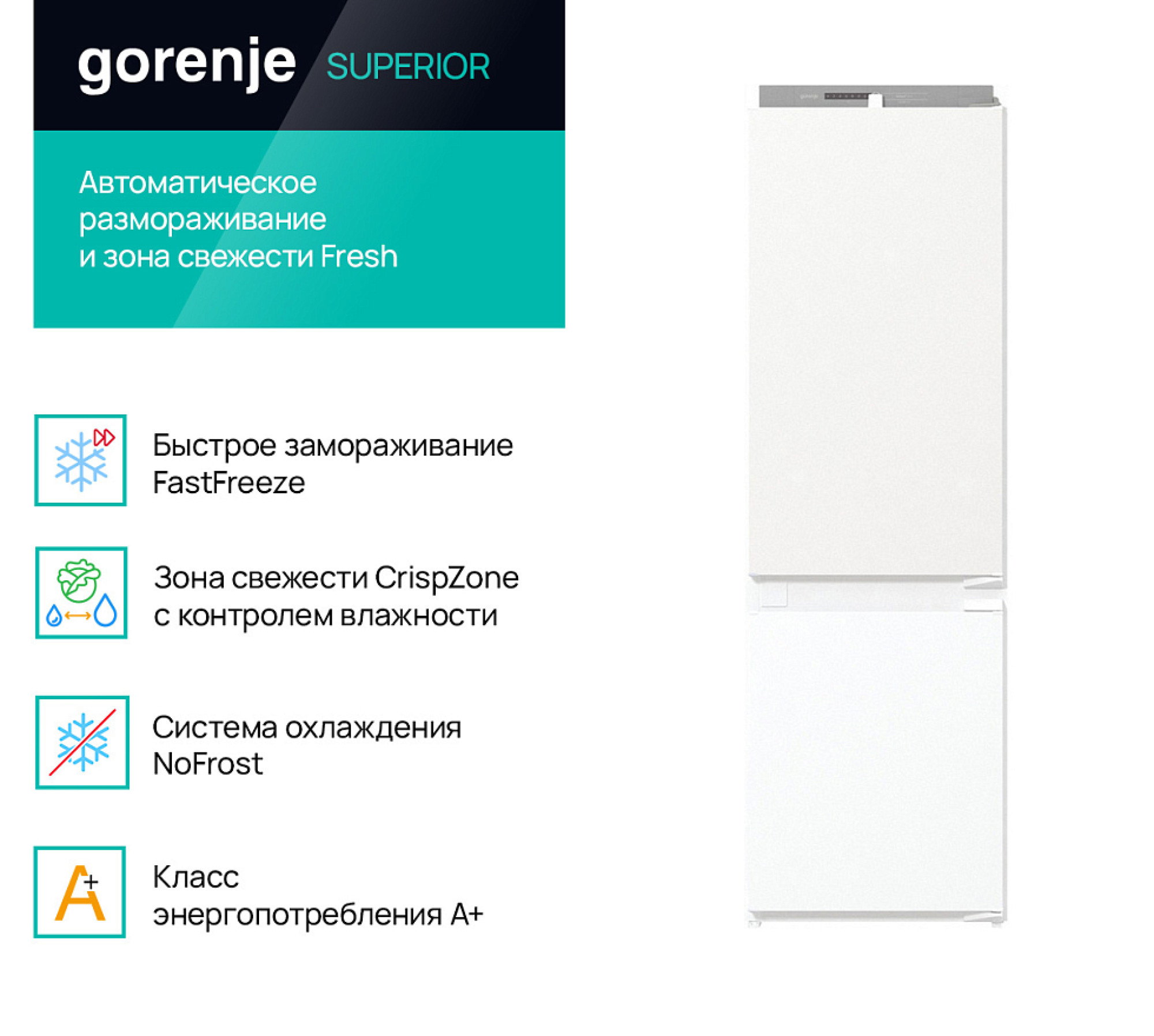 Встраиваемый двухкамерный холодильник Gorenje NRKI418FA0 - фото2